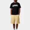 Camiseta University