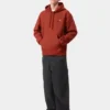 Sudadera con capucha y letras de American Script